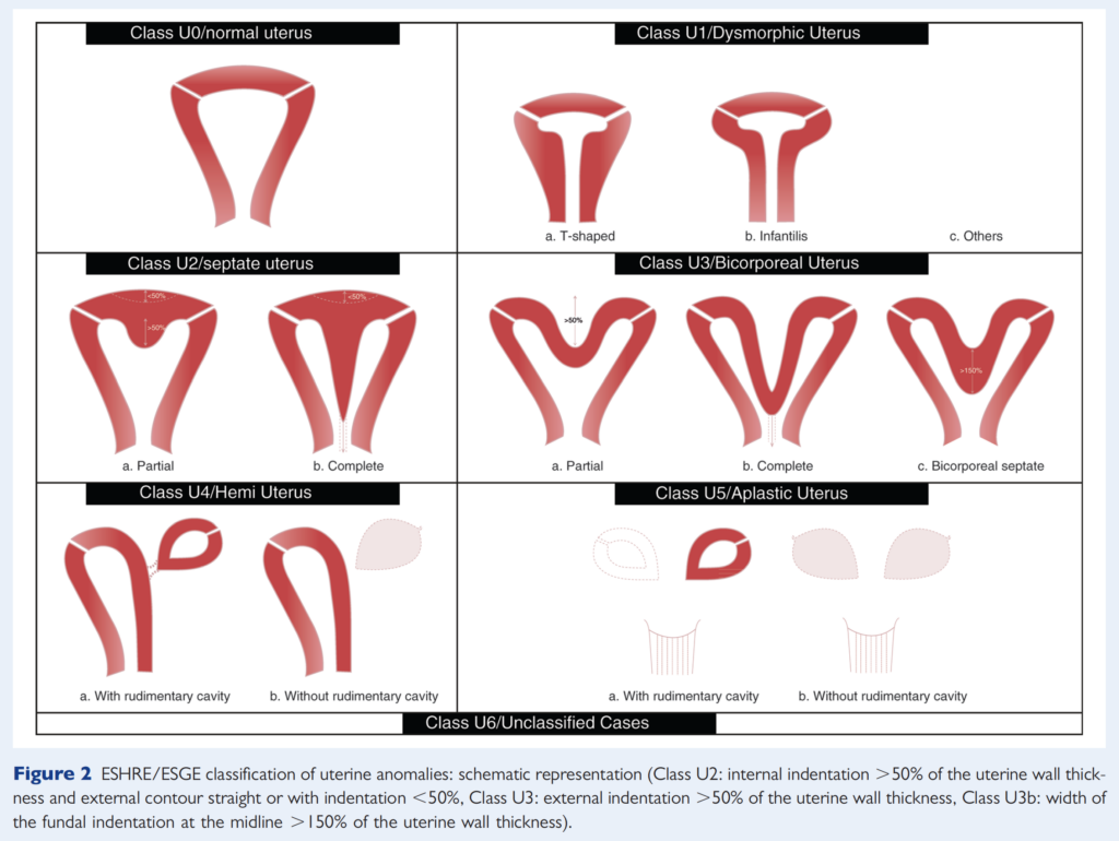 Classification ESRHE